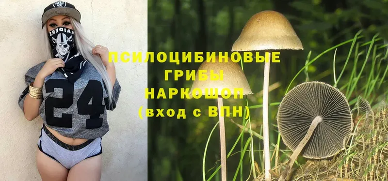 ссылка на мегу   Конаково  Псилоцибиновые грибы MAGIC MUSHROOMS 